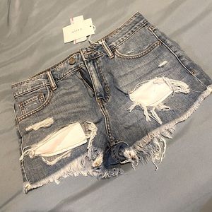 Cello Boutique Shorts